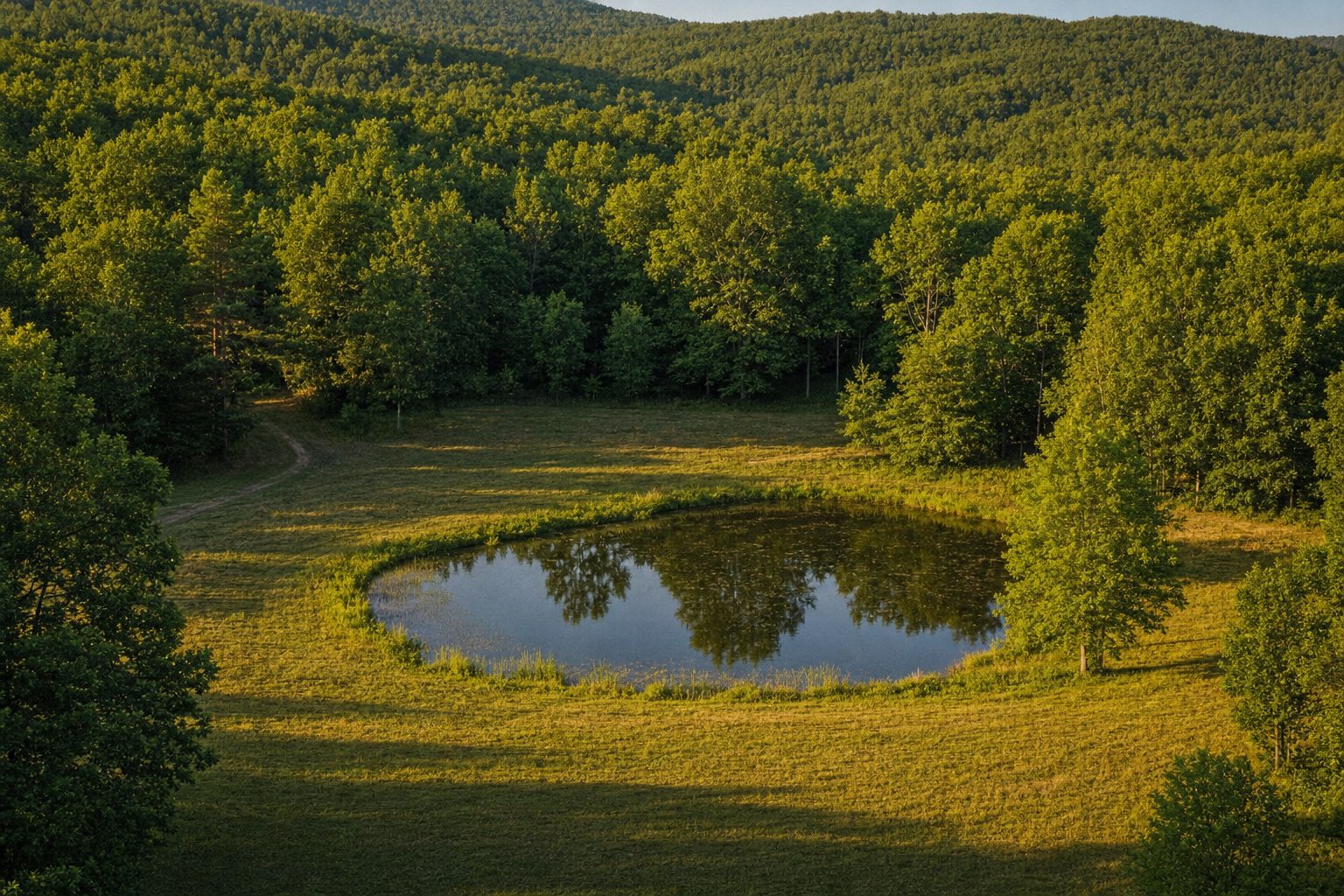 Cost of owning rural land: the yearly bills nobody quotes