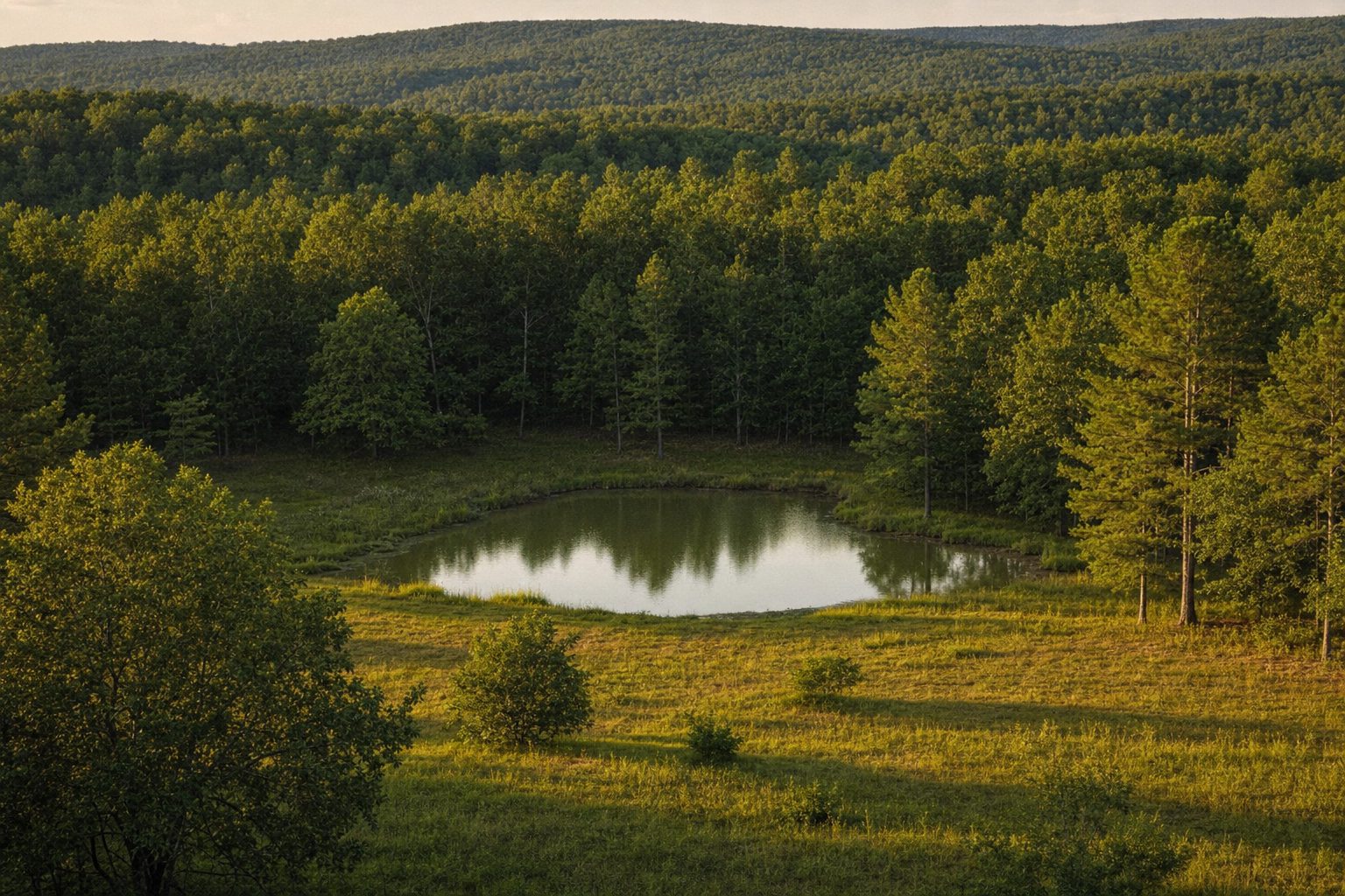 What can you do with raw land in Izard County, Arkansas?